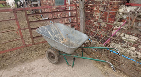 mucking horses out